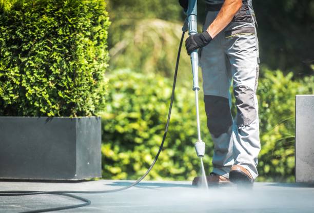 Best Fence Cleaning and Maintenance in Perry, LA